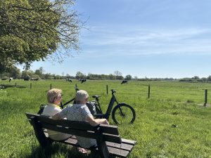 Reestdal, Drents landschap